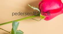 pedersen是什么意思 pedersen的中文翻译、读音、例句