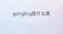 gangling是什么意思 gangling的中文翻译、读音、例句