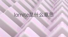 larnite是什么意思 larnite的中文翻译、读音、例句
