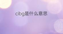 cibg是什么意思 cibg的中文翻译、读音、例句