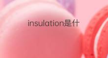 insulation是什么意思 insulation的中文翻译、读音、例句
