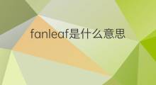 fanleaf是什么意思 fanleaf的中文翻译、读音、例句