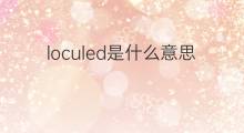 loculed是什么意思 loculed的中文翻译、读音、例句