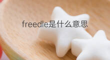 freedle是什么意思 freedle的中文翻译、读音、例句