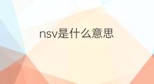 nsv是什么意思 nsv的中文翻译、读音、例句