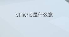stilicho是什么意思 stilicho的中文翻译、读音、例句