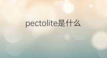 pectolite是什么意思 pectolite的中文翻译、读音、例句
