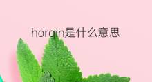 horqin是什么意思 horqin的中文翻译、读音、例句