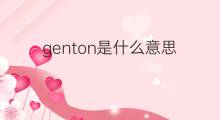 genton是什么意思 genton的中文翻译、读音、例句