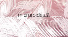 micruroides是什么意思 micruroides的中文翻译、读音、例句