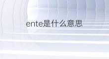 ente是什么意思 ente的中文翻译、读音、例句