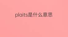 plaits是什么意思 plaits的中文翻译、读音、例句