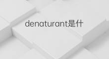 denaturant是什么意思 denaturant的中文翻译、读音、例句