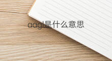 aagl是什么意思 aagl的中文翻译、读音、例句