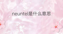 neuntel是什么意思 neuntel的中文翻译、读音、例句