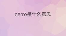derro是什么意思 derro的中文翻译、读音、例句