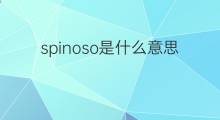 spinoso是什么意思 spinoso的中文翻译、读音、例句