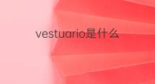 vestuario是什么意思 vestuario的中文翻译、读音、例句