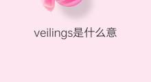 veilings是什么意思 veilings的中文翻译、读音、例句