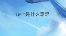 usin是什么意思 usin的中文翻译、读音、例句