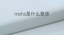 mshs是什么意思 mshs的中文翻译、读音、例句
