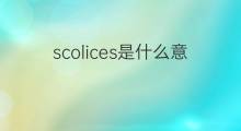 scolices是什么意思 scolices的中文翻译、读音、例句