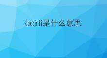 acidi是什么意思 acidi的中文翻译、读音、例句