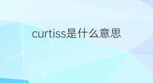 curtiss是什么意思 curtiss的中文翻译、读音、例句
