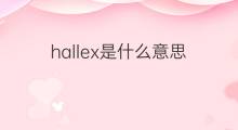 hallex是什么意思 hallex的中文翻译、读音、例句
