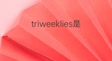 triweeklies是什么意思 triweeklies的中文翻译、读音、例句