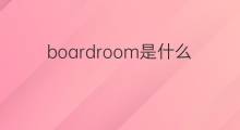boardroom是什么意思 boardroom的中文翻译、读音、例句