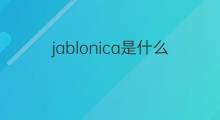 jablonica是什么意思 jablonica的中文翻译、读音、例句