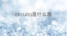 circuito是什么意思 circuito的中文翻译、读音、例句