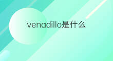 venadillo是什么意思 venadillo的中文翻译、读音、例句