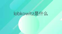 lobkowitz是什么意思 lobkowitz的中文翻译、读音、例句