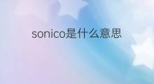 sonico是什么意思 sonico的中文翻译、读音、例句