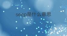 seep是什么意思 seep的中文翻译、读音、例句