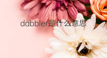dabbler是什么意思 dabbler的中文翻译、读音、例句