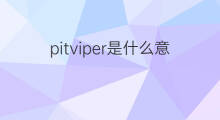 pitviper是什么意思 pitviper的中文翻译、读音、例句