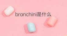 branchini是什么意思 branchini的中文翻译、读音、例句