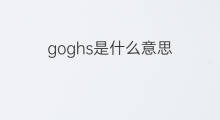 goghs是什么意思 goghs的中文翻译、读音、例句