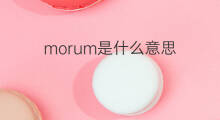 morum是什么意思 morum的中文翻译、读音、例句