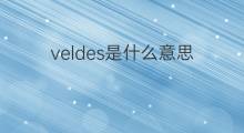 veldes是什么意思 veldes的中文翻译、读音、例句