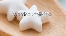 wordcount是什么意思 wordcount的中文翻译、读音、例句
