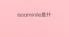 isoaminile是什么意思 isoaminile的中文翻译、读音、例句