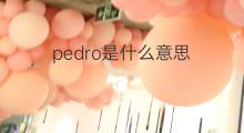 pedro是什么意思 pedro的中文翻译、读音、例句