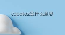 capataz是什么意思 capataz的中文翻译、读音、例句