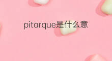 pitarque是什么意思 pitarque的中文翻译、读音、例句