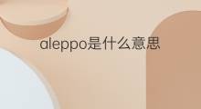 aleppo是什么意思 aleppo的中文翻译、读音、例句