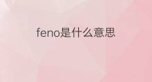 feno是什么意思 feno的中文翻译、读音、例句